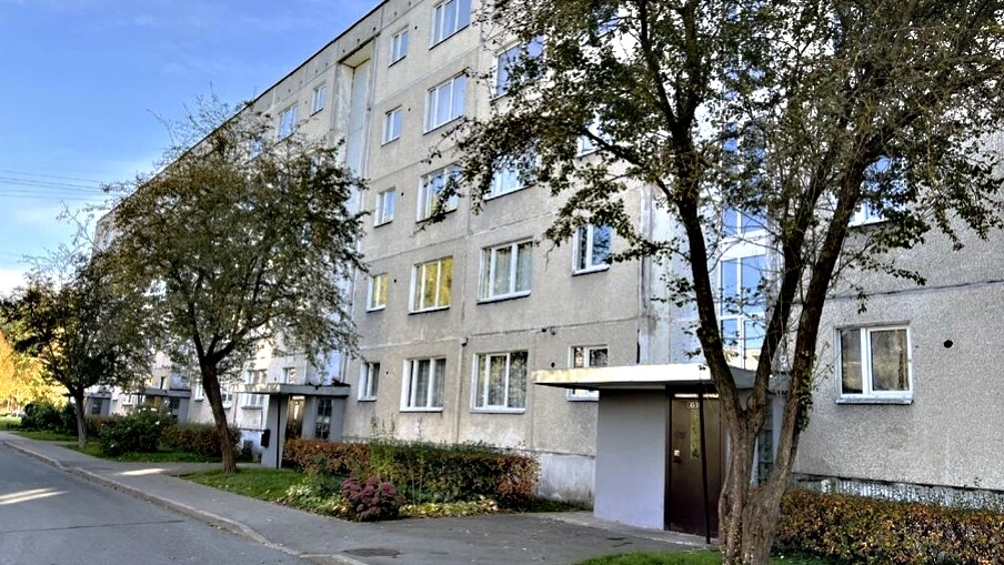 pvc logi jaunais Lietuviešu projekts